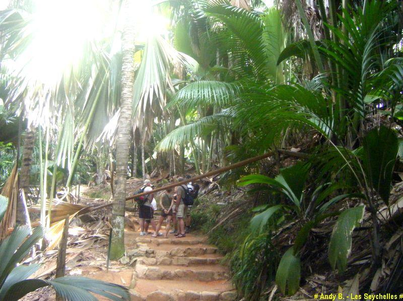 Vallee de Mai (6).JPG